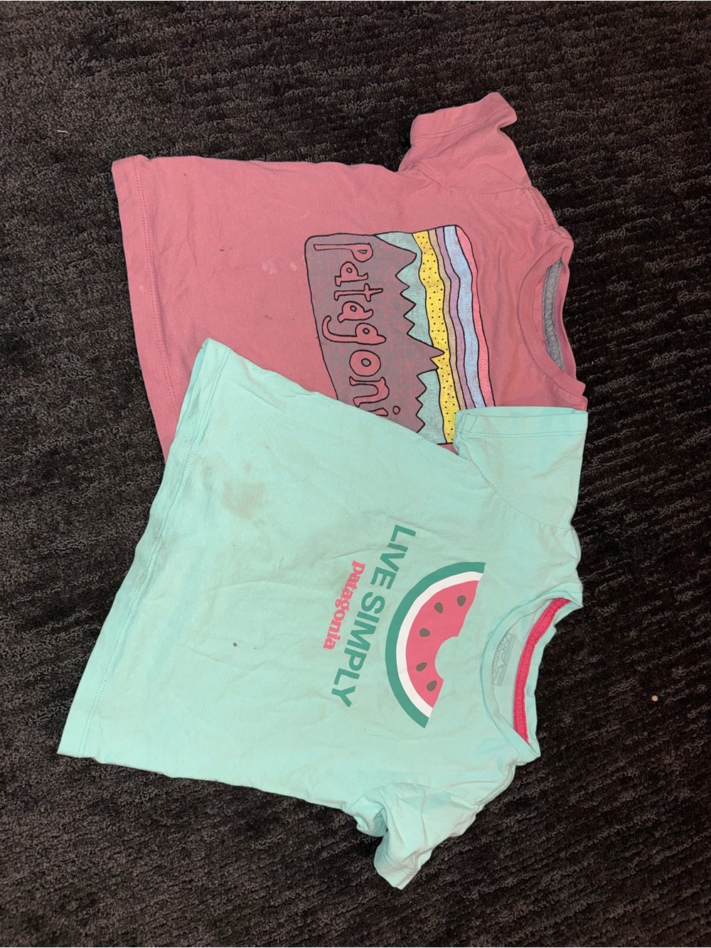 Patagonia Kids Pink and Mint Graphic Tee Set